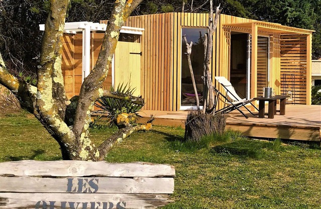 Villa with olive garden, Jacuzzi, pétanque, ping pong table