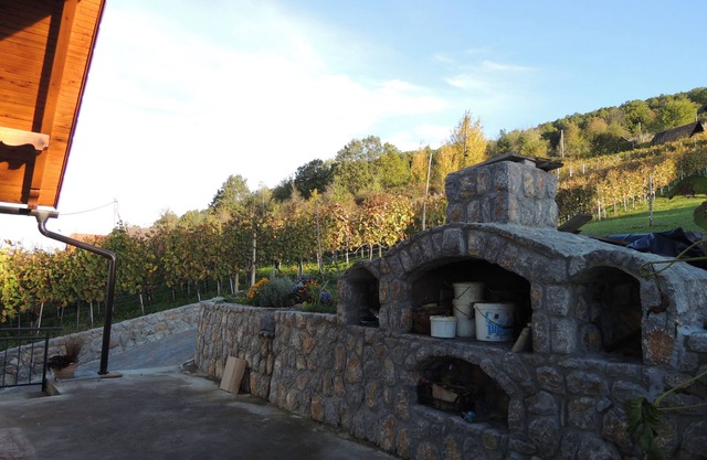 Vineyard cottage Pod piramido