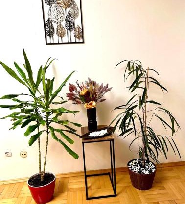 Vintage Bucharest apartment