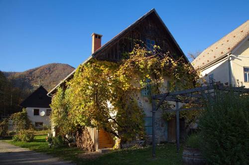 Vintage House Podliparska