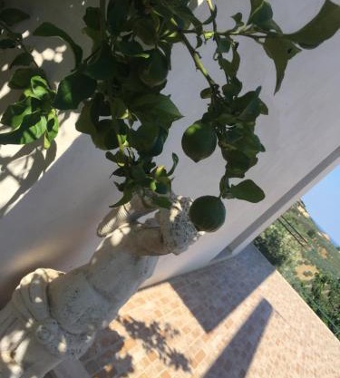 Vista Vasto