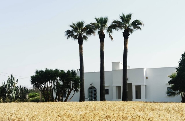 Vrbo Property