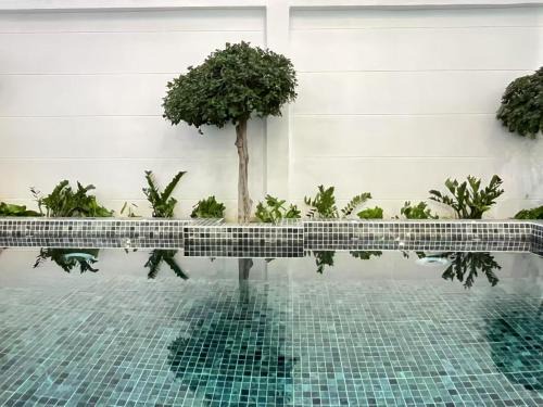 walking st 300M,9 BR modern villa
