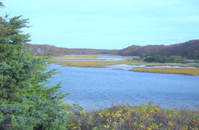Water views and walk to Old Silver Beach, Falmouth, Cape Cod