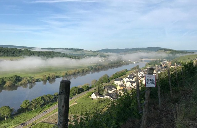 Wein- und Gästehaus Genetsch