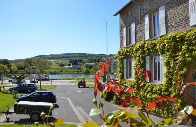 Weingut Erbes-Henn