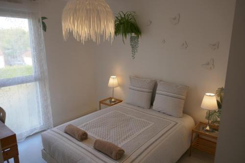WELC'HOME 2 chambres 2 lits double et 1 lit simple mezzanine avec SDB et WC indépendante privée