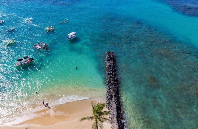 Welcome to Colony Surf #1101. A Beautiful Oceanfront Condo On The Beach!
