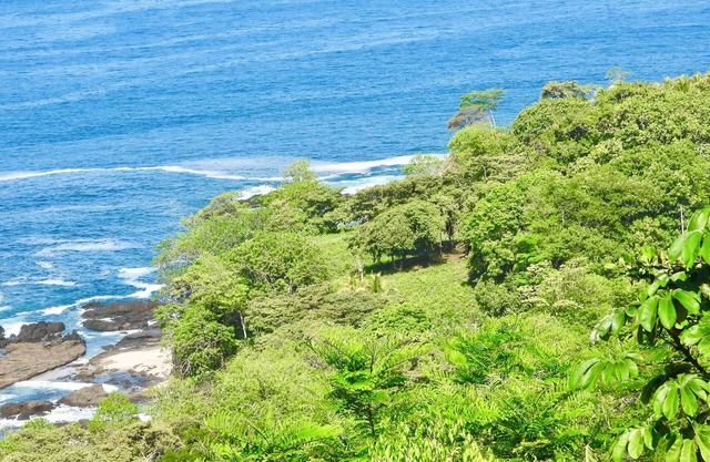 Welcome to Imagina where you will find yourself nestled between jungle and ocean