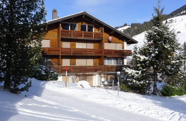 Well-kept apartment in the Swiss mountains (whether Interlaken)