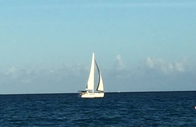 West Palm Beach Paradise