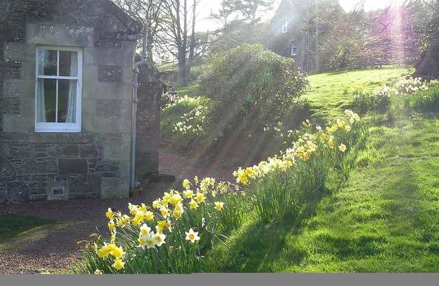 West Twin, Carmichael Country Cottages. Ideal family cottage close to deer park. Pets welcome.