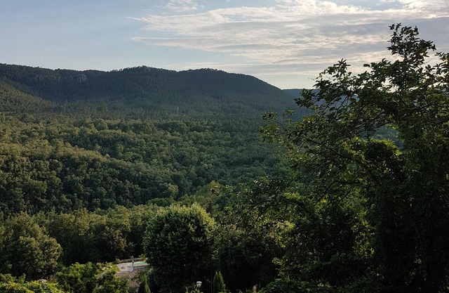 whole apartment type f2 well equipped in small picturesque village in barely forest