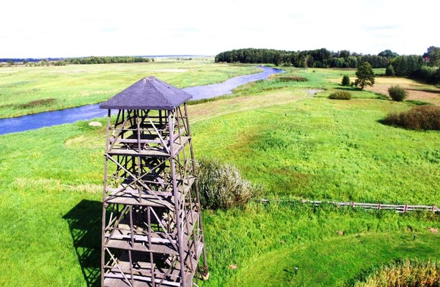 Wieża nad Biebrzą