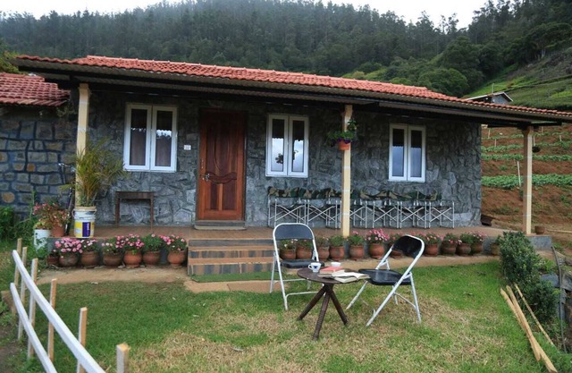 Wild and Free Farm Stay
