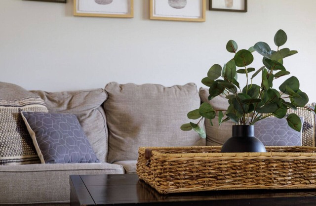 Wild Joy| King Bed, Pet-Friendly Stay, Fenced Yard