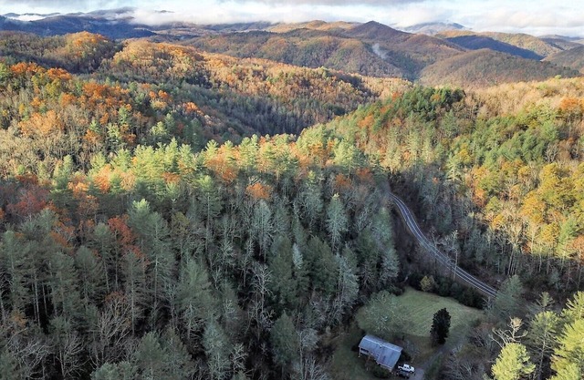 Wilderness retreat near Asheville, Myra's Cottage offers comfort & adventure