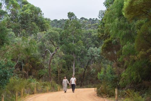 Wine Tree Estate Chalets