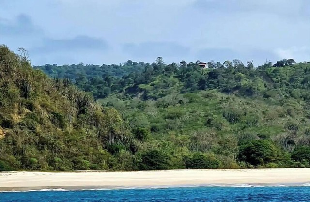 with 360 degree view of national park beach and forest