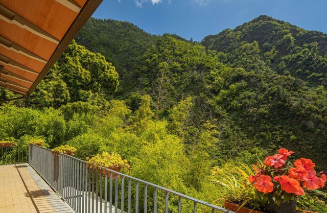 Wonderful private villa for 4 guests with TV, terrace and pets allowed