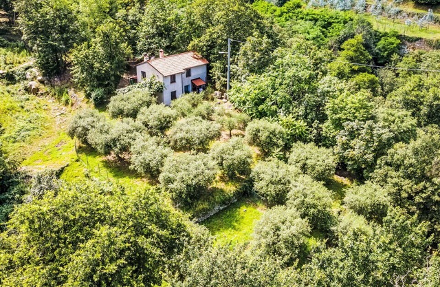 Wonderful private villa for 6 guests with WIFI, TV, patio, pets allowed and parking
