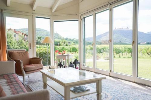 Wonderful Villa among the Vineyards