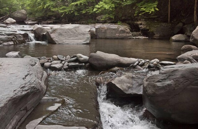 Woodstock - Private 8-Room House Secluded, Private Stream with AC