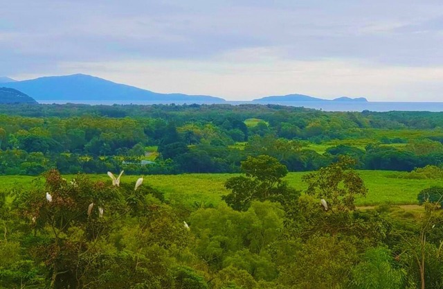 WYBALENA Entire Private Home, Ocean and valley views Tropical Oasis Pool Garden