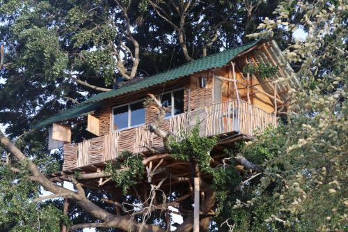 Yala Dream Park