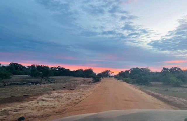 Yala Hotel Lion - Air conditioned Luxury Tented Safari Camp