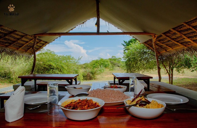 Yala Wild Hut