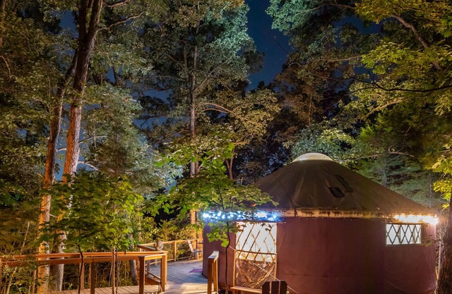 Yurt Floating in the Forest