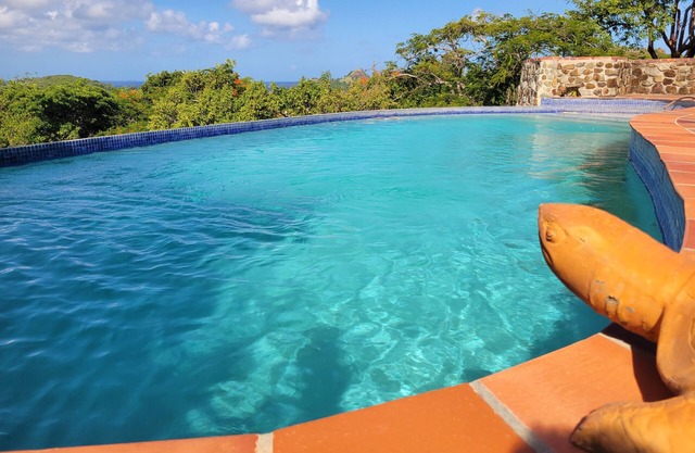 Zazen - Private pool with ocean views.