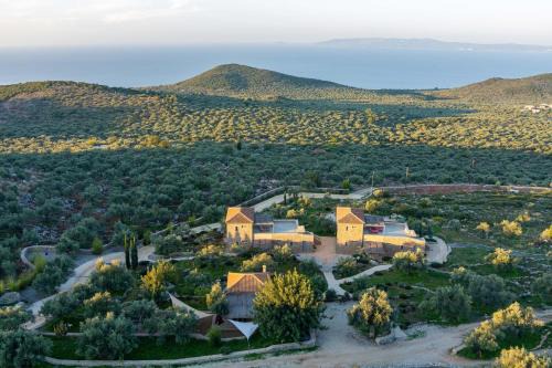 Zen Rocks Resort