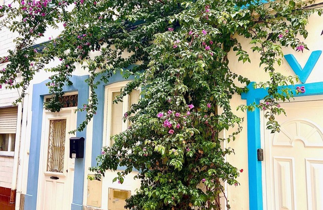 Zenit charm fisherman house car free pet friendly