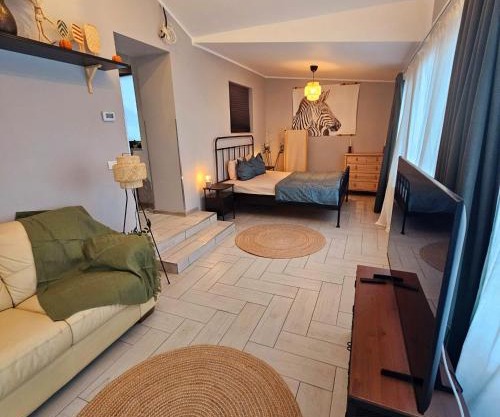 ZIG ZAG Apartment 8- Old Town