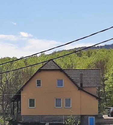 Zoran