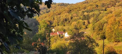 Fresse Bed & Breakfast | Ô2J