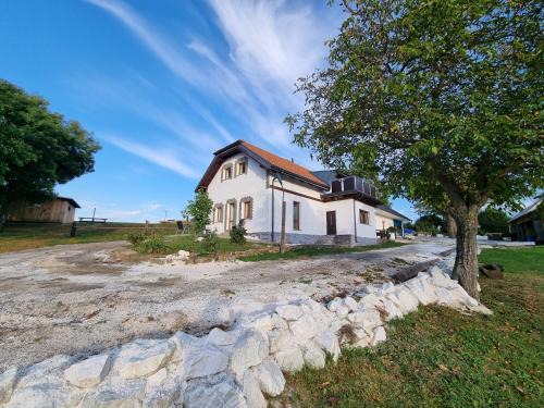 Cestin House | Čenovický dvůr
