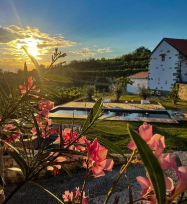 Tomaj House | Škerlj Wine Estate