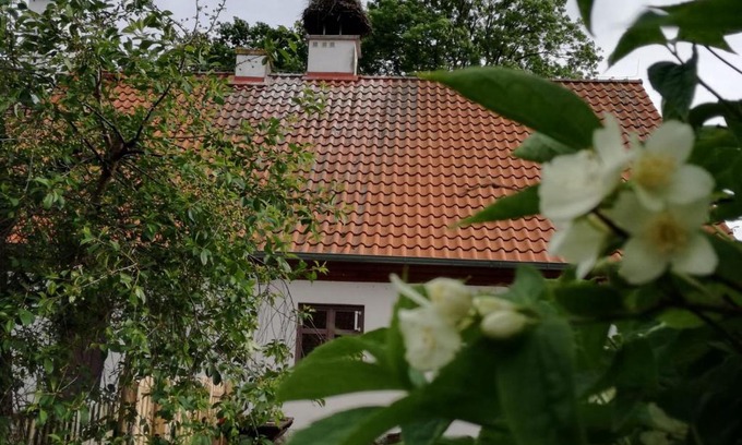 Gorowo Ilaweckie House | Żywkowo Bocianie Gospodarstwo Rolne