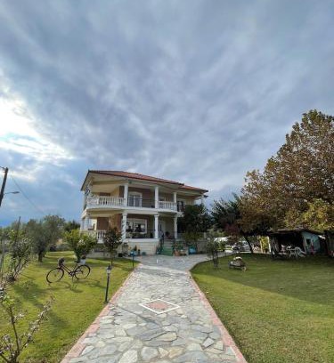 Aridaia Apartment | Η Αυλή