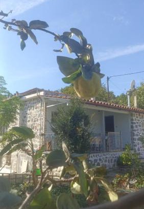Mantoudi-Limni-Agia Anna House | Παραδοσιακή Κατοικία