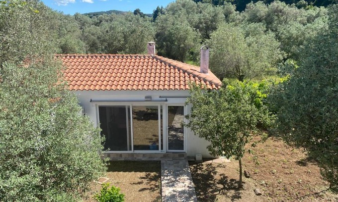 Ayia Anna House | Σπίτι μέσα στο δάσος