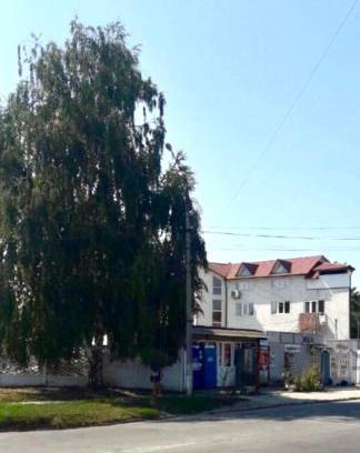 Chernovtsy Apartment | Квартира