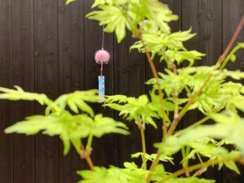 Minami House | 桃夭庵 touyouan momo house kujo 一棟貸切