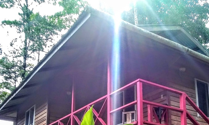 Isla Solarte House | 1 Bedroom Jungle Villa