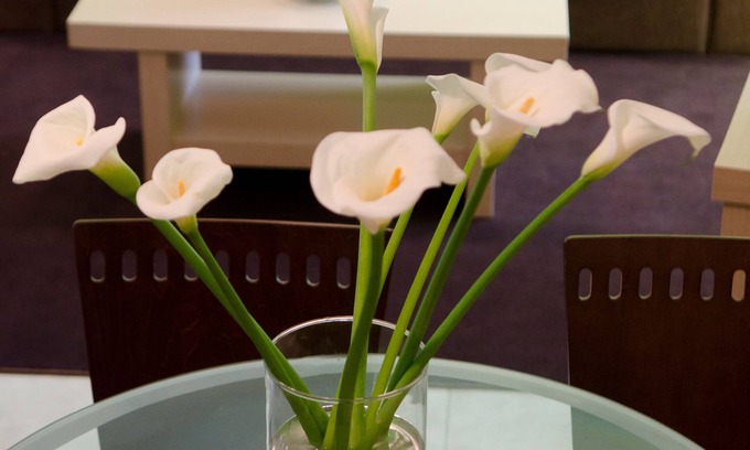 Aria Apartment | 1 bedroom luxury apartment