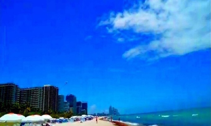 North Miami Cottage | 1 bedroom Miami Beach Florida.