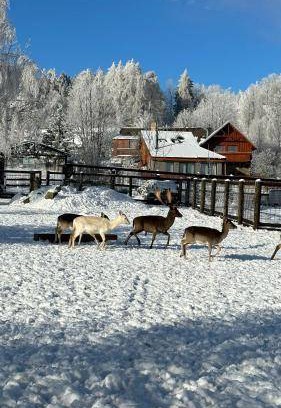 Stachy Bed & Breakfast | 125 m² Bed and breakfast ∙ 2 bedrooms ∙ 6 guests